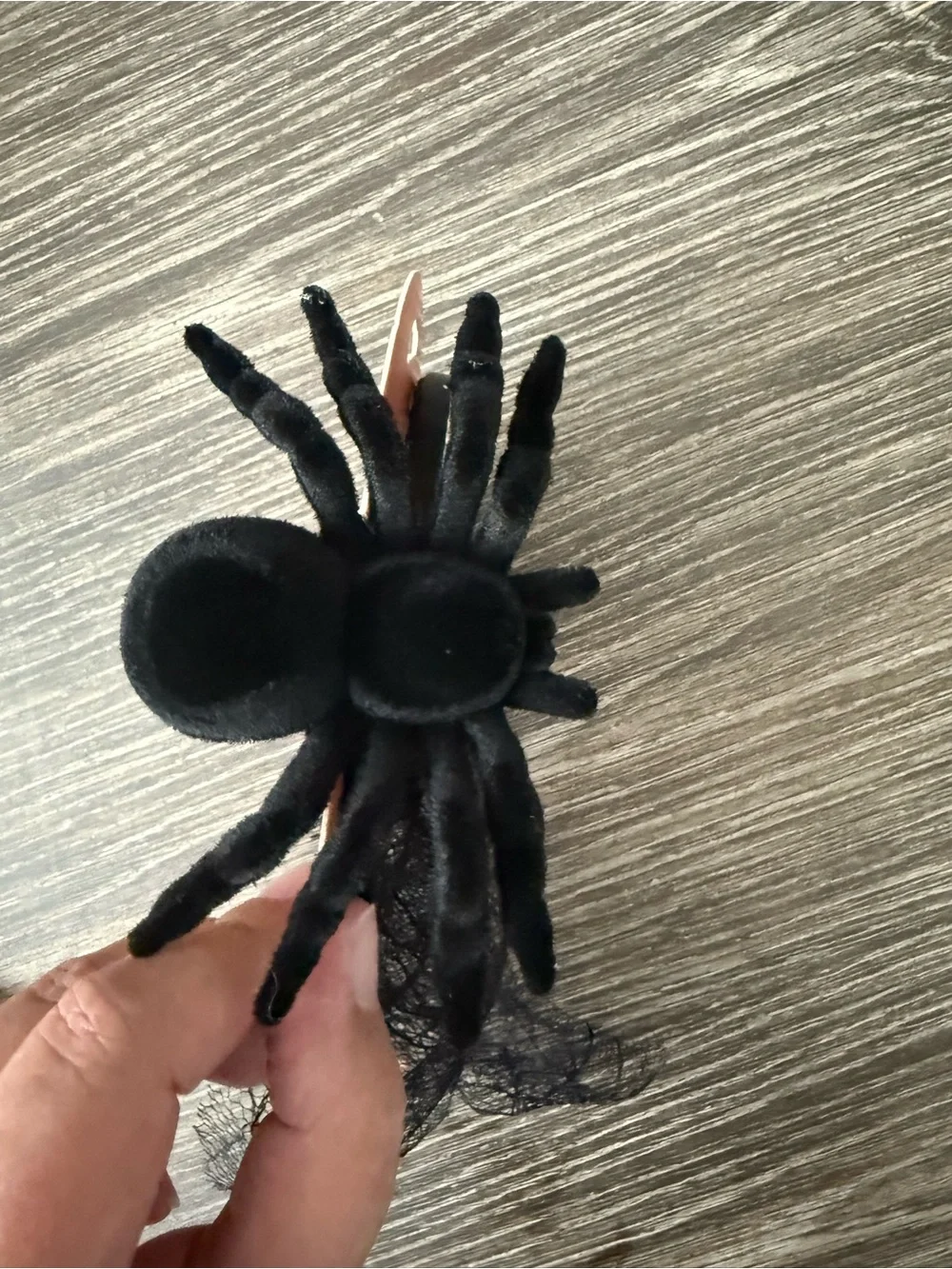 NWT Kitsch Spider Veil Headband